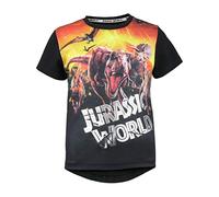 Jurassic World Volcanic Eruption Boys T-Shirt Black 3-4 Years | Ages 18 Months to 13 Years, Childrens Clothes, All Over Print Dinosaur Top, Toddler to Teens, Boys Birthday Gift Idea