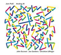 Jure Pukl - Analog Ai [VINYL]