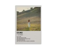 JURRYTHHTR Lizzy McAlpine Poster Aesthetic Wall Art Canvas Cover Print Posters Modern Art Painting for Living Rooms 16x24inch(40x60cm) Unframe-style