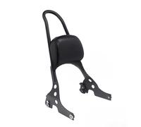 JURTBGF Motorcycle Passenger backrest Motorcycle Detachable Backrest For For Sportster XL 883 1200 04-up XL883 XL1200 48 72 Rear Passenger Sissybar