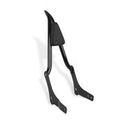 JURTBGF Motorcycle Passenger backrest Motorcycle Detachable Rear Passenger Backrest For For Rebel 1100 CMX1100 CMX 1100 2021 2022 2023