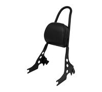 JURTBGF Motorcycle Passenger backrest Motorcycle Detachable Sissy Bar Rear Passenger Backrest Black For For Sportster XL 883 1200 2004-2023