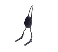 JURTBGF Motorcycle Passenger backrest Motorcycle Rear Pad Passenger Sissy Bar Detachable Backrest For 2018-2020 Passenger Seat Backrest