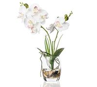 Jusdreen 1 Pcs Glass Vase Artificial Orchid Flower Bonsai Vivid Phalaenopsis Flowers Potting for Home Office Décor,Table Centerpiece Room Decorations 14.5 INCH (Glass Vase/White Orchid)