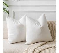 JUSPURBET 2 Pack Velvet Cushion Covers with Zipper, Decorative Soft Solid Color Cushion Covers for Couch Bed Sofa 14x14 Inch Cream