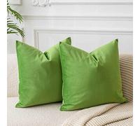 JUSPURBET Apple Green Velvet Throw Pillow Covers 20x20 inch Set of 2 for Living Room Couch Bedroom Decorative Soft Cushion Cases with Invisible Zipper