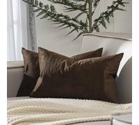 JUSPURBET Brown Throw Pillow Covers Set of 2 Decorative Velvet Pillow Covers for Couch Sofa Bed Soft Lumbar Cushion Covers with Invisible Zipper for Living Room Home Decor,12x20 inch