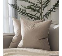 JUSPURBET Cloud Velvet Throw Pillow Covers 14x14 inch Set of 2 for Living Room Couch Sofa Bedroom Decorative Square Solid Soft Cushion Cases with Invisible Zipper, HF100021-Double14x14-Cloud