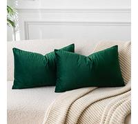 JUSPURBET Decorative Pillow Covers Set of 2 Velvet Throw Pillow Covers for Couch Sofa Bed Soft Lumbar Cushion Covers with Hidden Zipper for Living Room Home Decor,Dark Green,12x20 inch