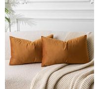 JUSPURBET Rust 16x24 inch Pillow Cover Set of 2 Soft Decorative Lumbar Velvet Throw Pillow Cases for Couch Bed Sofa Zippered Closure Luxurious Velvet Fabric Machine Washable Home Decor