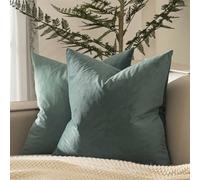 JUSPURBET Throw Pillow Covers Set of 2 Decorative Velvet Pillow Covers for Couch Sofa Bed Soft Cushion Covers Cases with Invisible Zipper for Living Room Home Decor 18x18 inch,Emerald