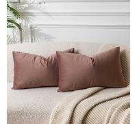 JUSPURBET Throw Pillow Covers Set of 2 Decorative Velvet Pillow Covers for Couch Sofa Bed Soft Lumbar Cushion Covers with Invisible Zipper for Living Room Home Decor,Jam,14x24 inch