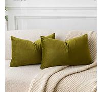 JUSPURBET Velvet Pillow Covers Set of 2 Decorative Throw Pillow Covers for Couch Sofa Bed Soft Lumbar Cushion Covers with Hidden Zipper for Living Room Home Decor,Olive Green,14x24 inch