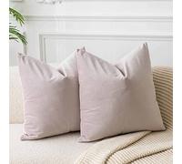JUSPURBET Velvet Soft Solid Square Throw Pillow Case Cushion Covers with Invisible Zipper for Livingroom Sofa Bedroom 22x22 Inch 2 Pieces Champagne