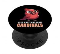 Just a Boy who loves Cardinals Cardinal Bird PopSockets Adhesive PopGrip