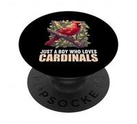 Just a Boy who loves Cardinals Cardinal Bird PopSockets Adhesive PopGrip