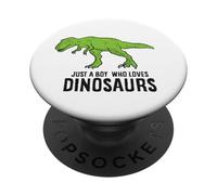 Just a Boy Who Loves Dinosaurs Cute Dinosaur Boy PopSockets Adhesive PopGrip