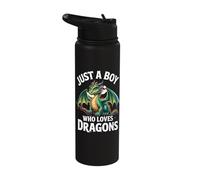 Just A Boy Who Loves Dragons - Boys Dragon Stainless Steel Insulated Water Bottle