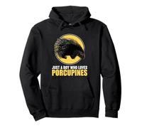 Just a Boy who loves Porcupines Porcupine Pullover Hoodie