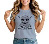 Just A Little Moody Highland Cow Womens Graphic T-Shirt Funny Animal Tee Small Mineral Blue