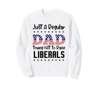 Just A Regular Dad Trying Not To Raise Liberals For Dads Sweatshirt