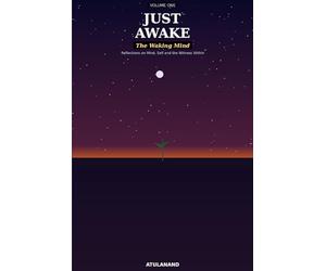 Just Awake: The Waking Mind: Reflections on Mind, Senses and the Witness Within: 1