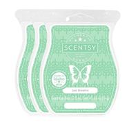 Just Breathe, Wickless Candle Tart Warmer Wax 3.2 Oz Bar, 3-pack (3)