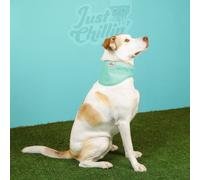 Just Chillin' Cooling Bandana - Blue - Size: Large