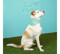 Just Chillin' Cooling Bandana Large / Extra Large