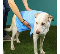 Just Chillin' Cooling Towel 40x30cm - Blue