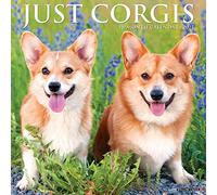 Just Corgis 2021 Wall Calendar (Dog Breed Calendar)