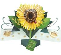 Just For You Sunflower Pop-Up Greeting Card Second Nature 3D Pop Up Cards