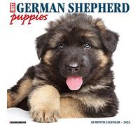 Just German Shepherd Puppies 2023 Wall Calendar