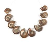 JUST IN STONES 10pcs Side Drilled Natural Whole Ammonite Fossil Loose Gemstone Beads