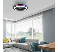 JUST LIGHT. GmbH Brandon LED ceiling fan, black, RGBW, CCT, Ø 46.5 cm