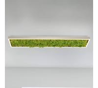JUST LIGHT. GmbH Gerda Knut LED ceiling light with real moss