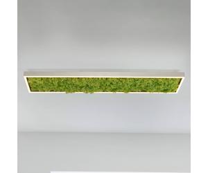 JUST LIGHT. GmbH Gerda Knut LED ceiling light with real moss