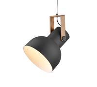 JUST LIGHT. GmbH JUST LIGHT. Cup 2.0 pendant light, Ø30cm, 1-bulb, black