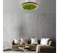 JUST LIGHT. GmbH LED ceiling lamp Green Ritus, moss dimmable Ø39.3cm