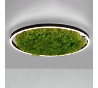 JUST LIGHT. GmbH LED ceiling lamp Green Ritus, moss dimmable Ø58.5cm