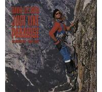 Just like paradise [VINYL]