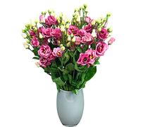 Just Lisianthus - Hand-Tied Pink Lisianthus Flower Bouquet - Fresh Flowers Delivered Next Day - Ideal for Birthdays, Anniversaries, Valentine’s Day, and Thank You Gifts
