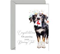 Just Passed Driving Test Card, Party Dog