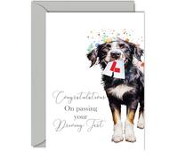 Just Passed Driving Test Card - Party Dog - Congratulations Well Done Congrats Driving Test Pass Card, Pass Passing Driving Test Gifts, A5 Learner Driving Test Exam Greeting Cards