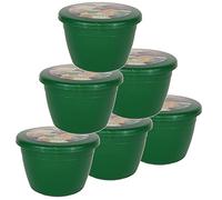 Just Pudding Basins 6 Pack of 1/4 Pint Small to Medium Sized Emerald Green Food Safe Steaming Bowls with Lids