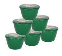 Just Pudding Basins 6 Pack of 1 Pint Plastic Pudding Basins Medium Sized Emerald Green Food Safe Steaming Bowls