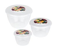 Just Pudding Basins Clear Pudding Basin Set, 3 Pack of Plastic Steam Bowls with Lids, Reusable Microwave and Pressure Cooker Safe Moulds for Desserts (¼pt, ½pt, 1pt)