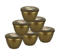 Just Pudding Basins Gold Coloured 1 Pint 570ml, Reusable Plastic Bowl with Clip-On Lids for Steamed Desserts, Cookware Moulds for Baking, 6 Pack