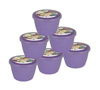 Just Pudding Basins Pastel Colours 1/4 Pint Small Basin and Clear Lid 0.25pt Pack of 6 Plastic Steaming Bowls (Lilac)
