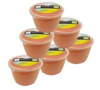 Just Pudding Basins Small Single Portion Steam Pudding Bowls With Lids Peach - 0.25Pt - 6Pk